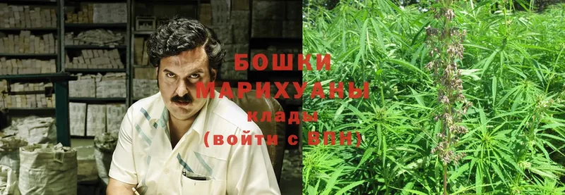 Каннабис SATIVA & INDICA  Губкинский 